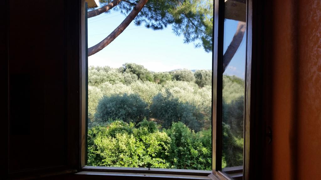 Hotel Villa Maria Luigia Frascati Zimmer foto